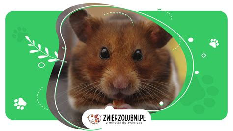 prezent na chrzest dla dziewczynki